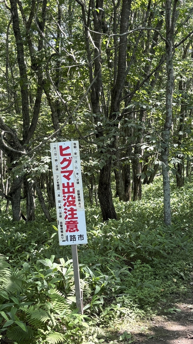 釧路湿原