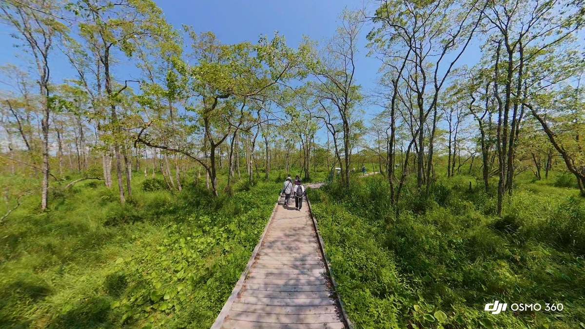 釧路湿原