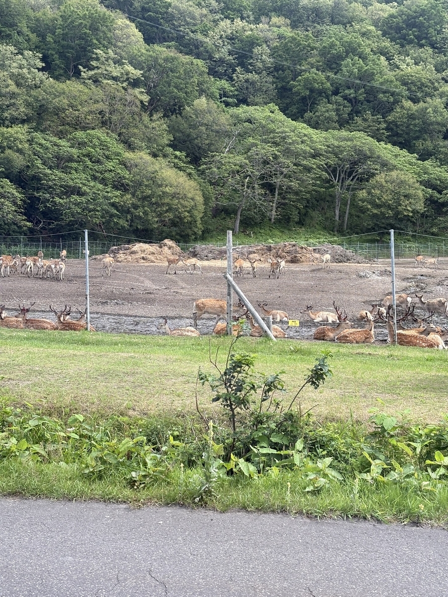 知床エゾシカファーム