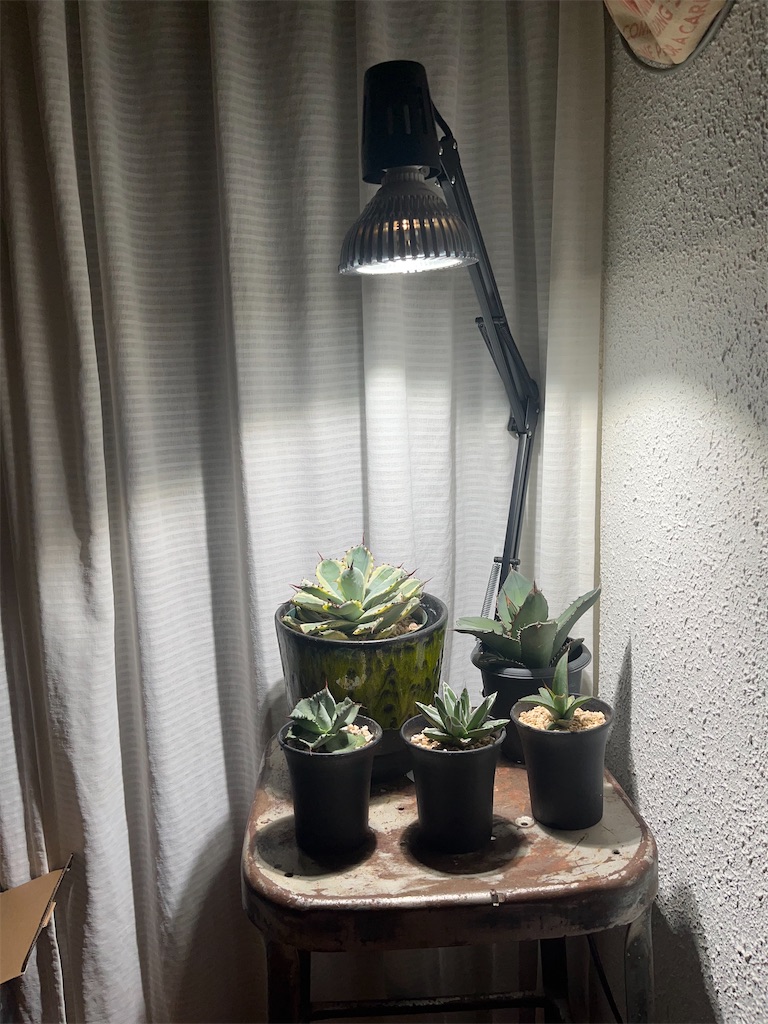 f:id:Hiro88:20221029010823j:image f:id:Hiro88:20221029010823j:image