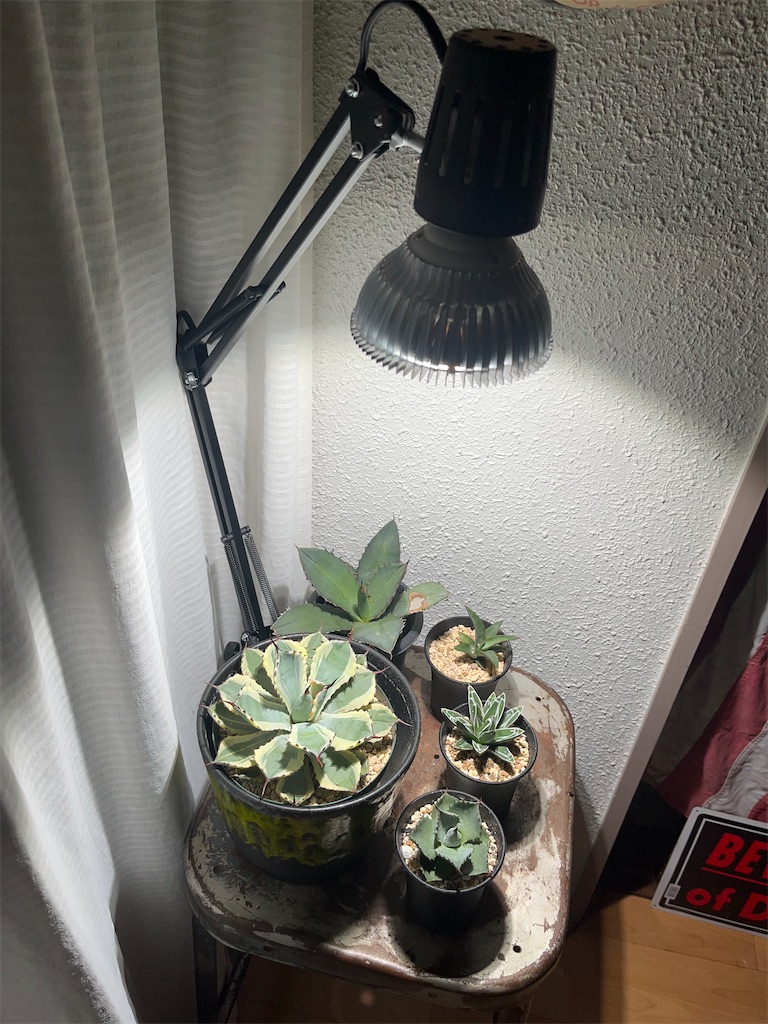 f:id:Hiro88:20221029011307j:image f:id:Hiro88:20221029011307j:image