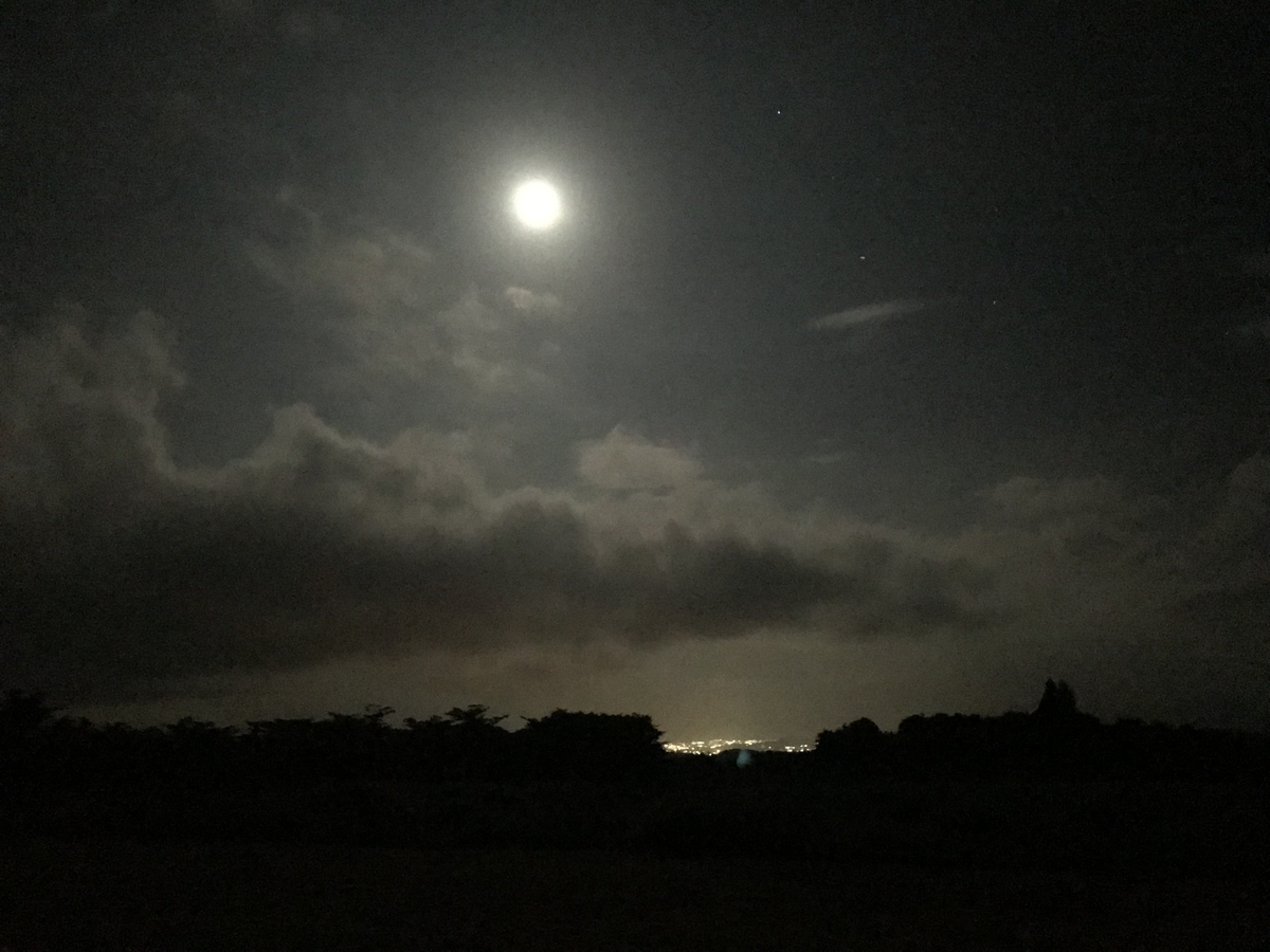f:id:HiroBroG:20191017223153j:plain f:id:HiroBroG:20191017223153j:plain