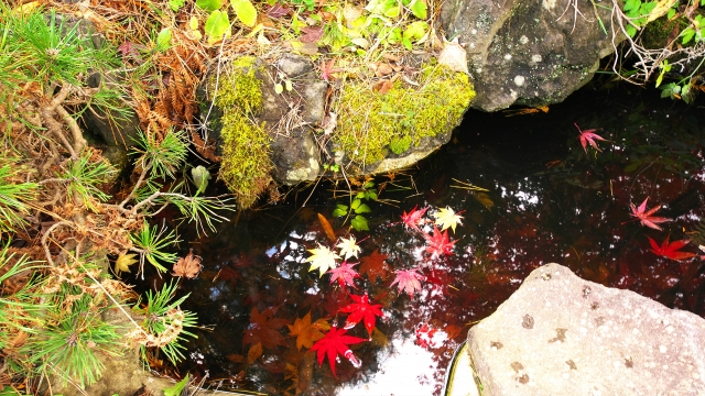 f:id:HiroCom777:20210211213852j:plain