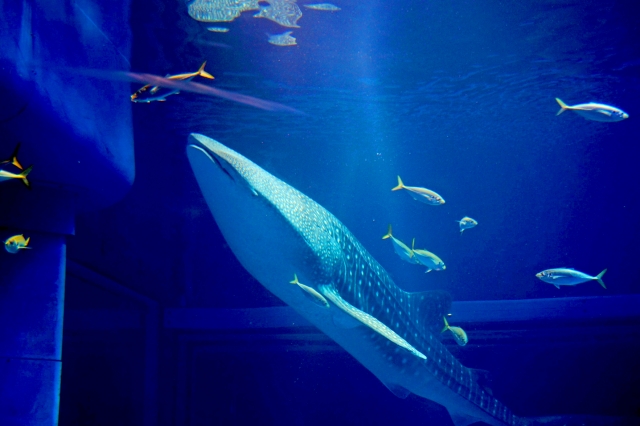 f:id:HiroCom777:20220411163707j:plain