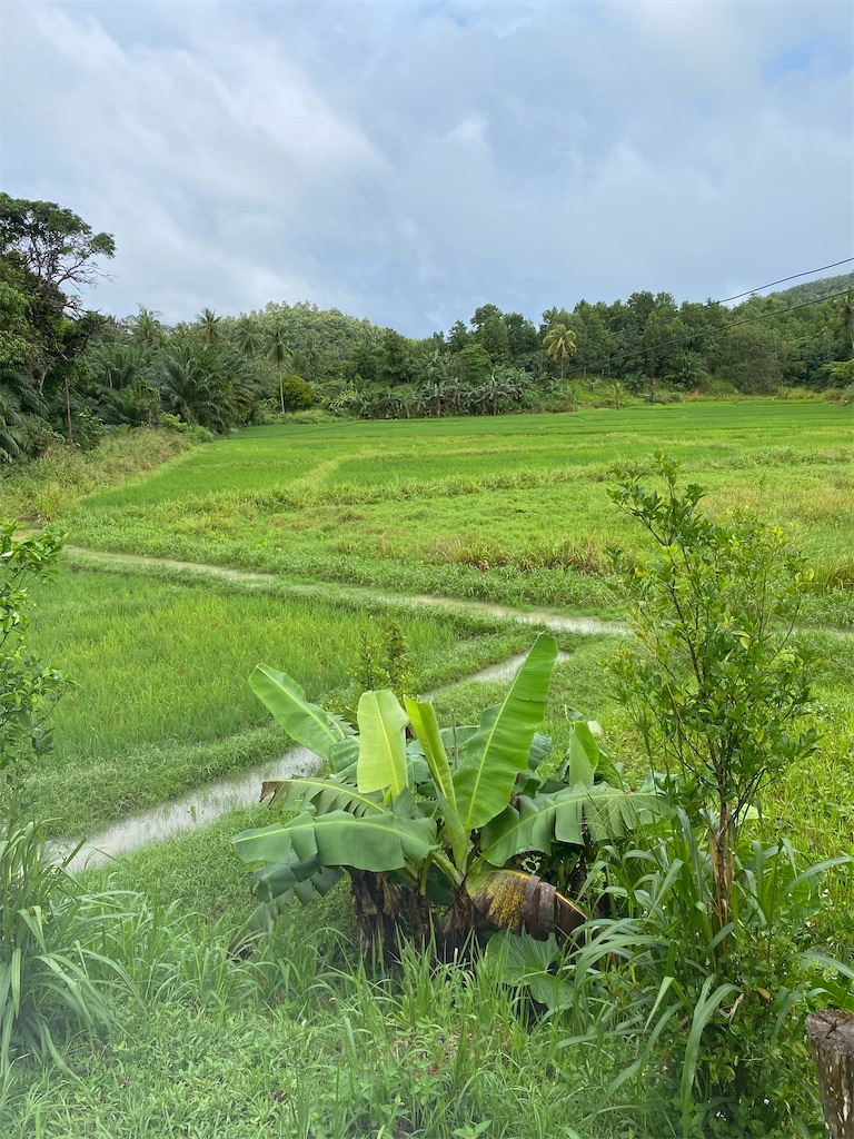 f:id:Hirodibangau:20230312150227j:image f:id:Hirodibangau:20230312150227j:image