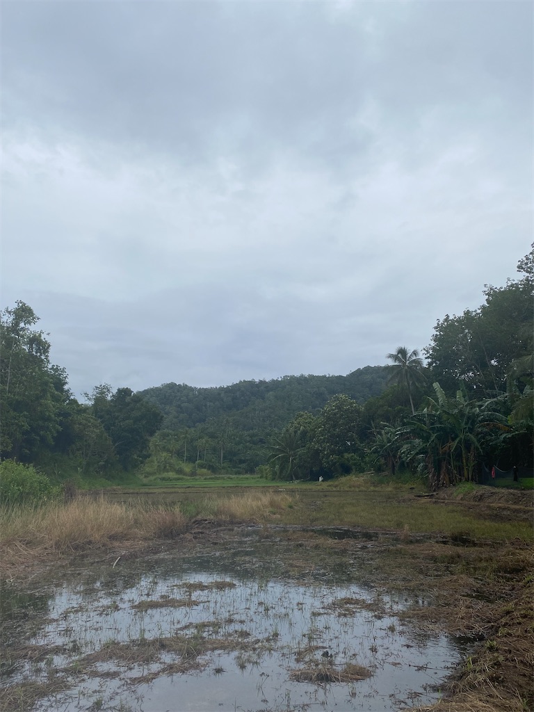 f:id:Hirodibangau:20241021194238j:image f:id:Hirodibangau:20241021194238j:image