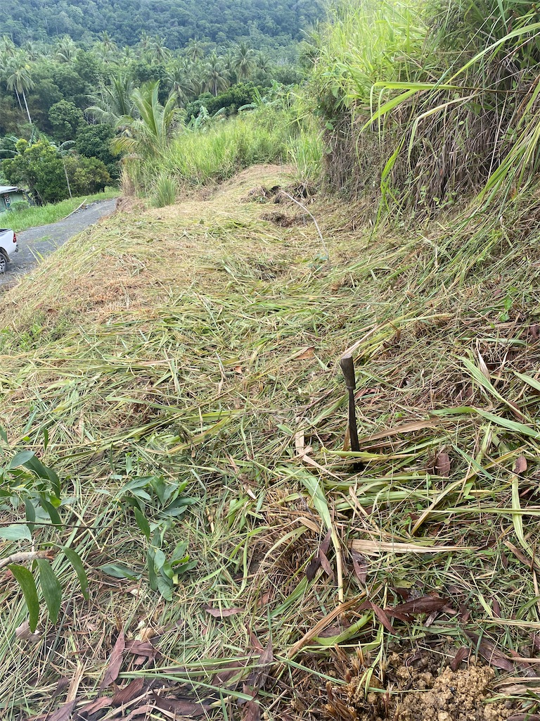 f:id:Hirodibangau:20241022224153j:image f:id:Hirodibangau:20241022224153j:image