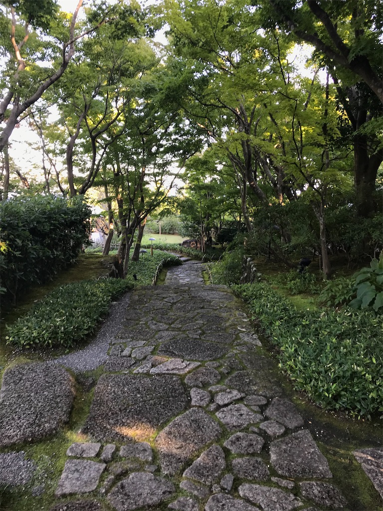 f:id:Hiromi2020:20201124212811j:plain