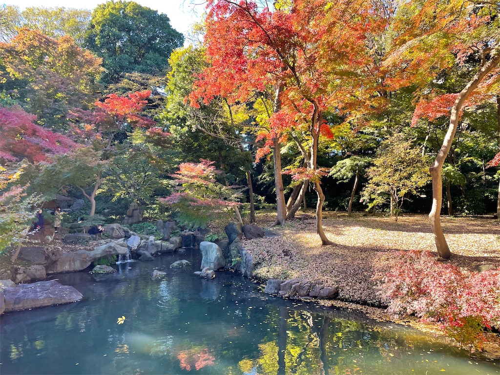 f:id:Hiromi2020:20211129192605j:image