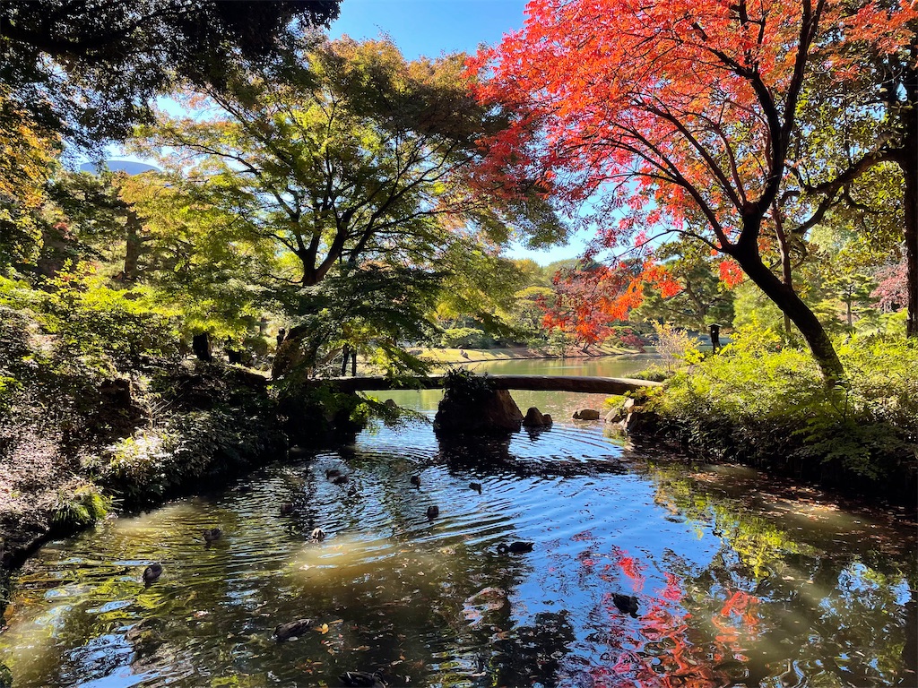 f:id:Hiromi2020:20211130075507j:image