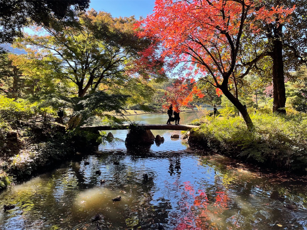 f:id:Hiromi2020:20211130080026j:image