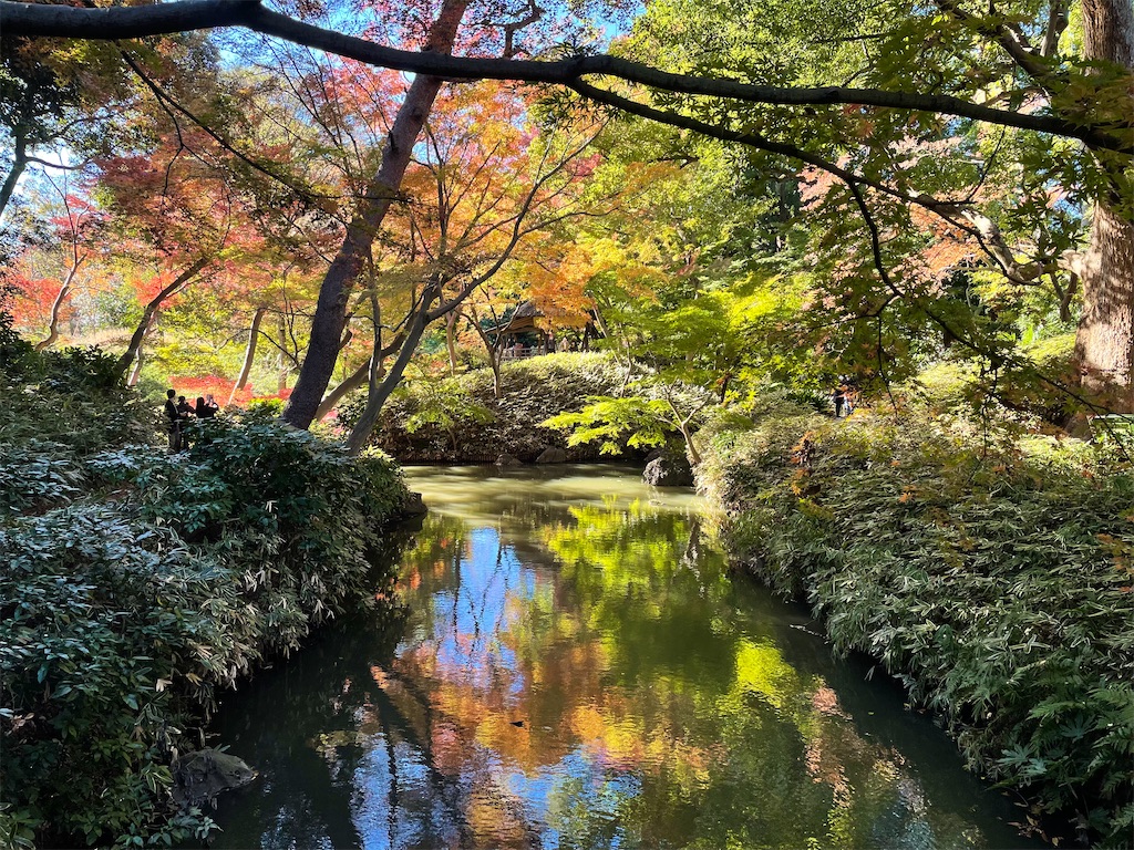 f:id:Hiromi2020:20211208182818j:image