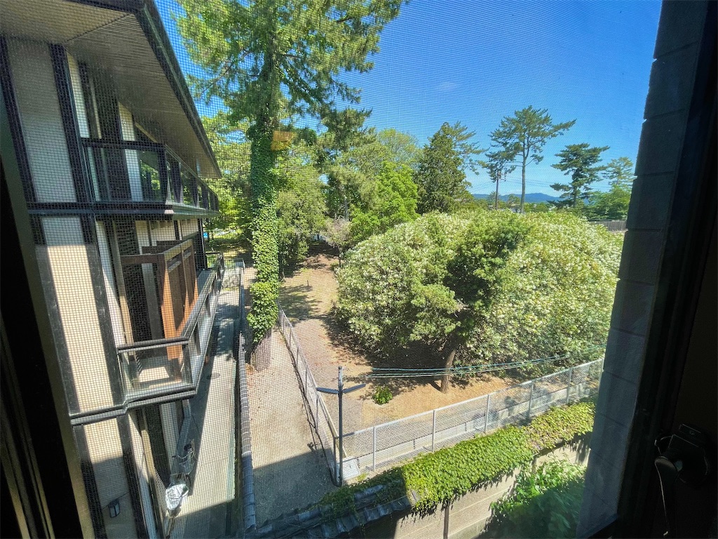 f:id:Hiromi2020:20220704074531j:image