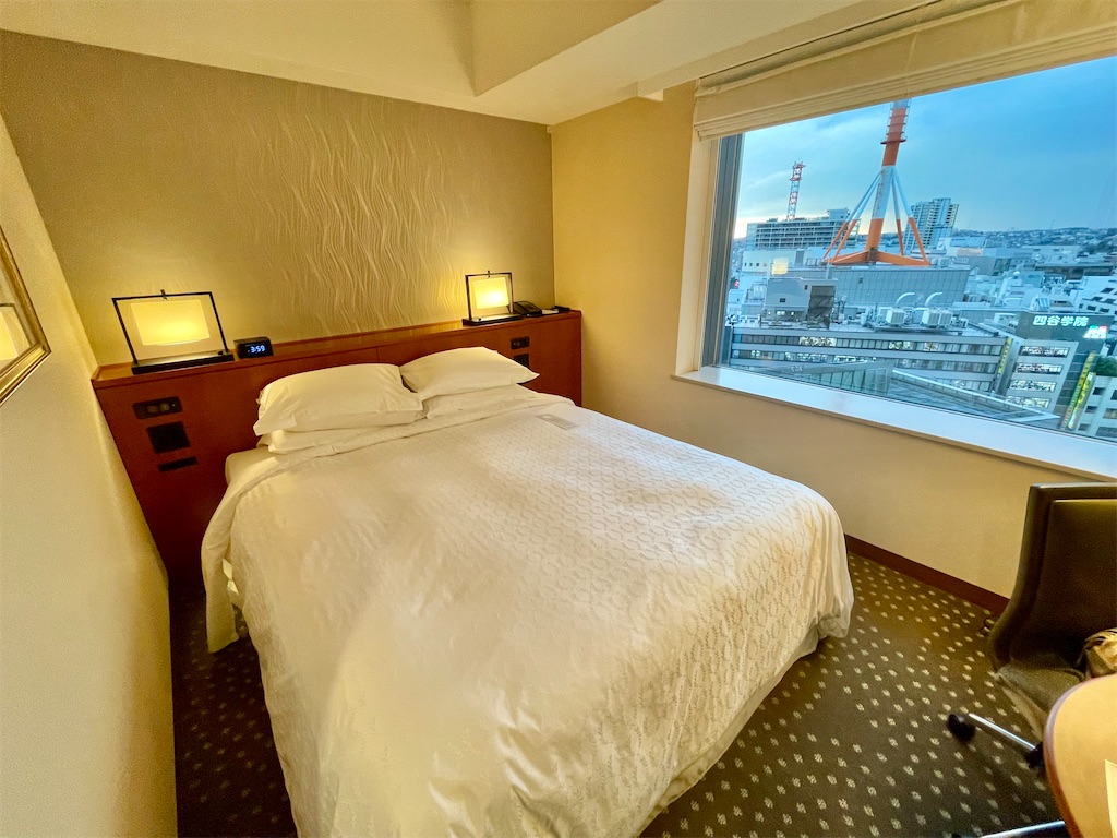 f:id:Hiromi2020:20221019075212j:image