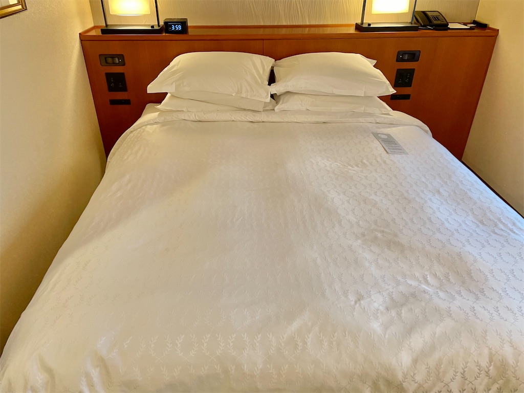 f:id:Hiromi2020:20221019075438j:image