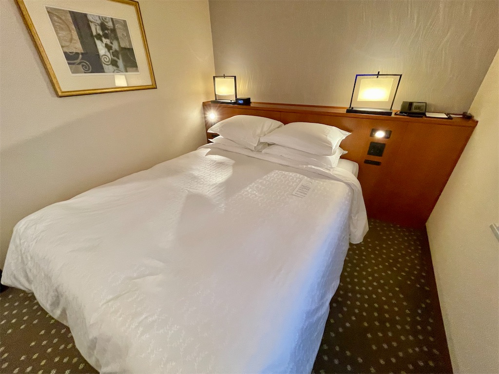 f:id:Hiromi2020:20221019085651j:image