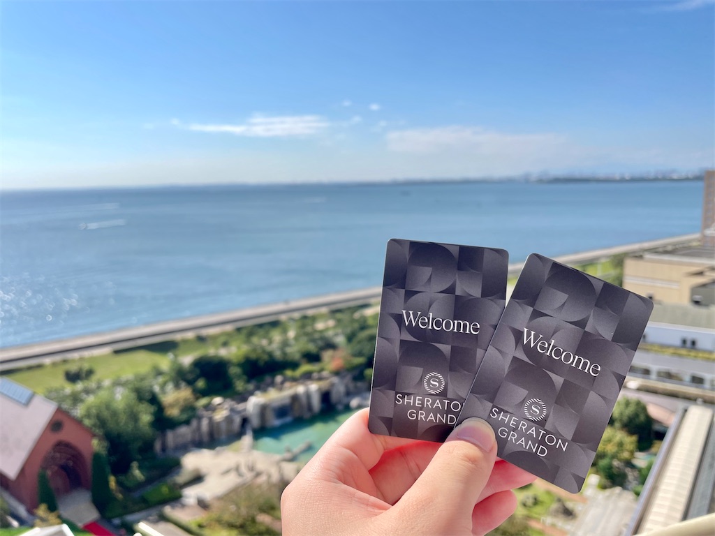 f:id:Hiromi2020:20221121183355j:image