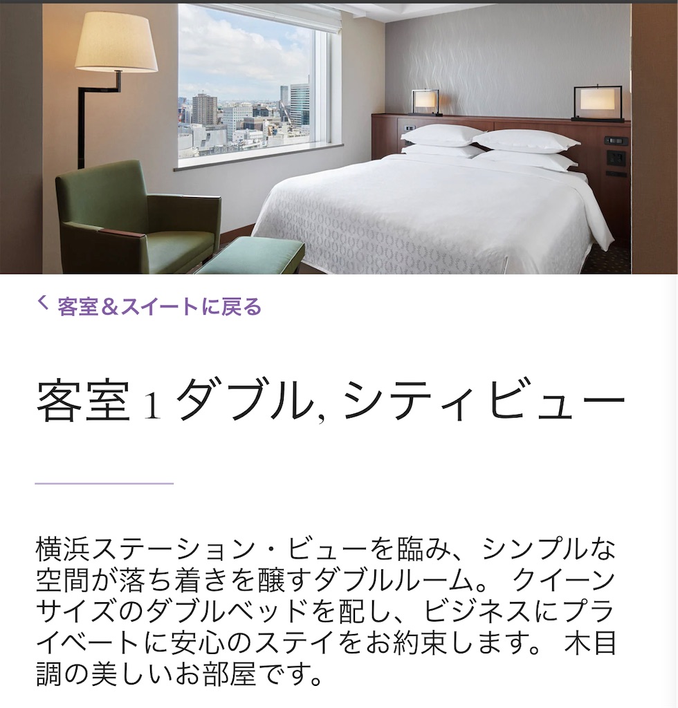 f:id:Hiromi2020:20221224093229j:image