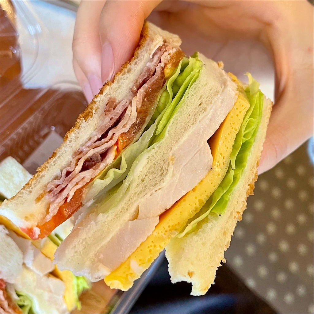 f:id:Hiromi2020:20221224124924j:image