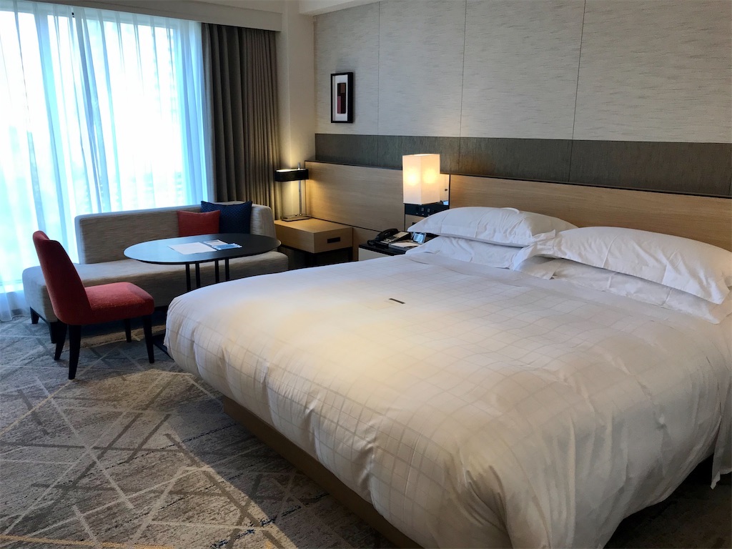 f:id:Hiromi2020:20221224131034j:image