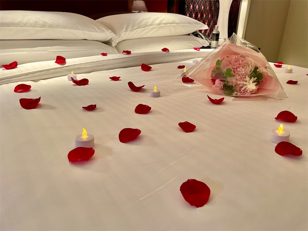 f:id:Hiromi2020:20230410081710j:image