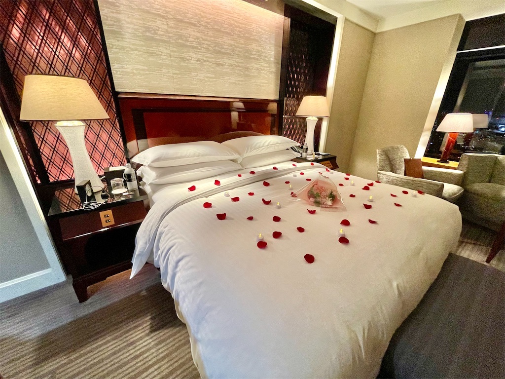 f:id:Hiromi2020:20230410081720j:image