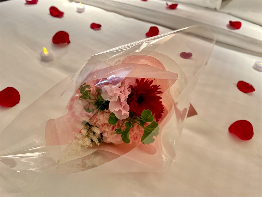 f:id:Hiromi2020:20230410185156j:image