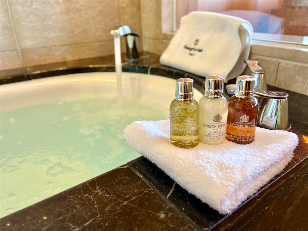 f:id:Hiromi2020:20231026153236j:image f:id:Hiromi2020:20231026153236j:image