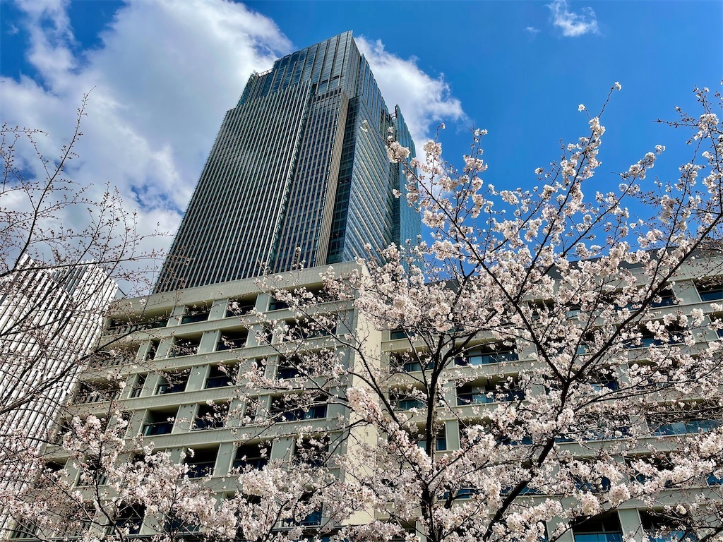 f:id:Hiromi2020:20240321074311j:image