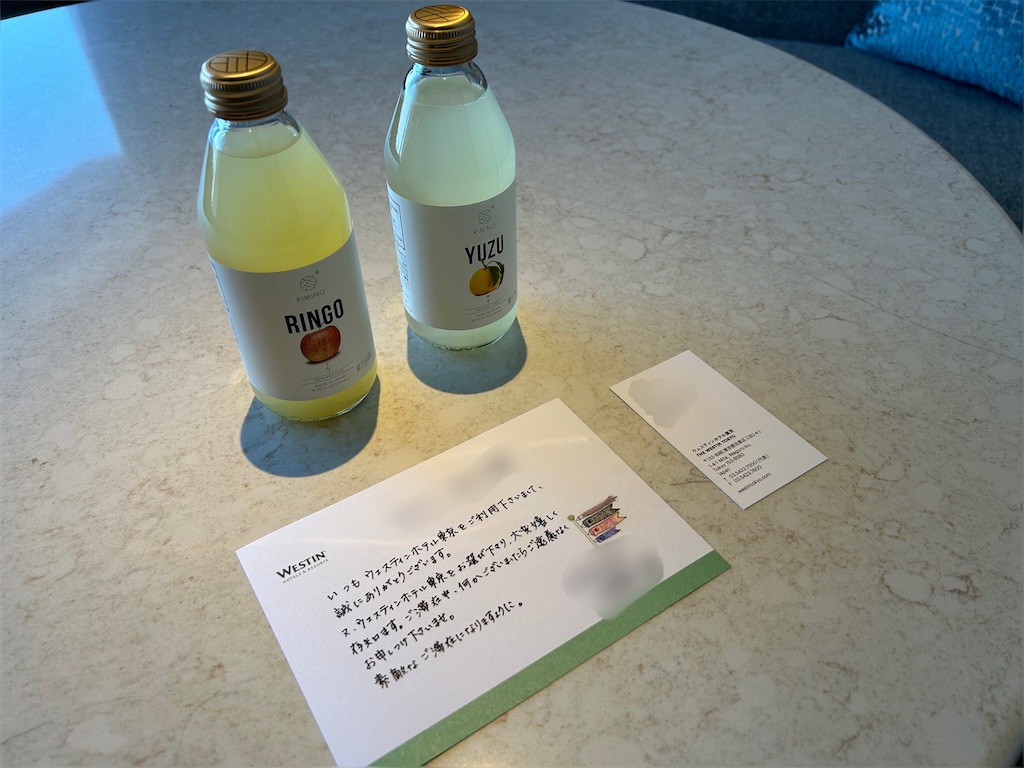f:id:Hiromi2020:20240605070207j:image