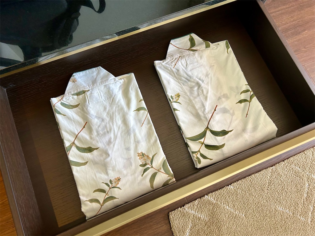 f:id:Hiromi2020:20240606070812j:image