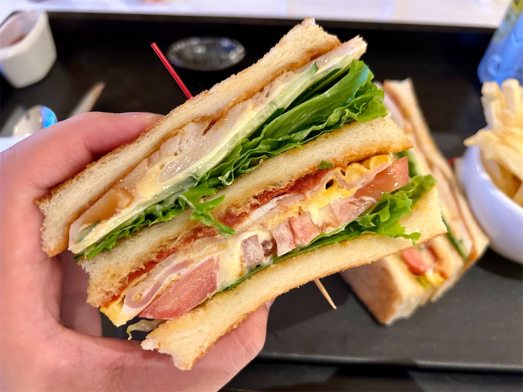 f:id:Hiromi2020:20240710064239j:image