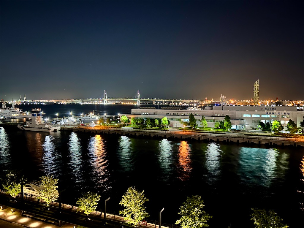 f:id:Hiromi2020:20240716220800j:image
