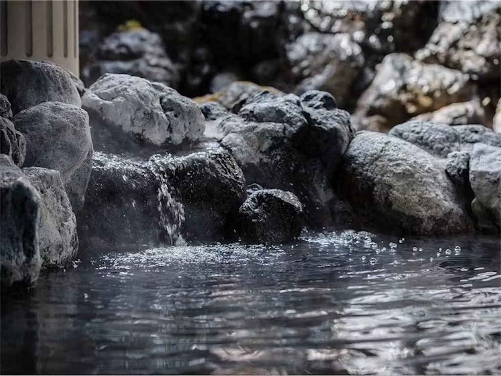 f:id:Hiromi2020:20250106230402j:image