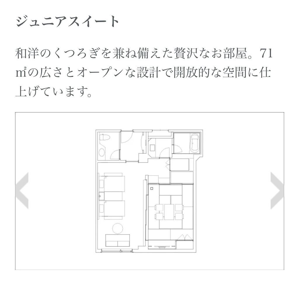 f:id:Hiromi2020:20250108083045j:image