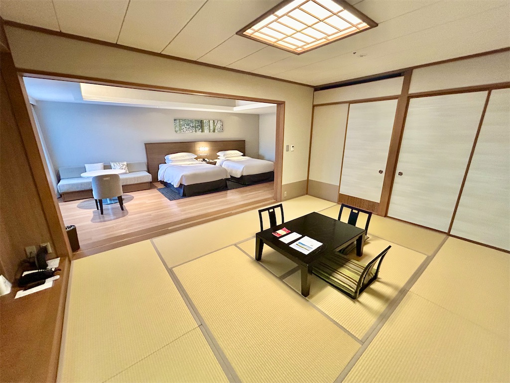 f:id:Hiromi2020:20250108221037j:image