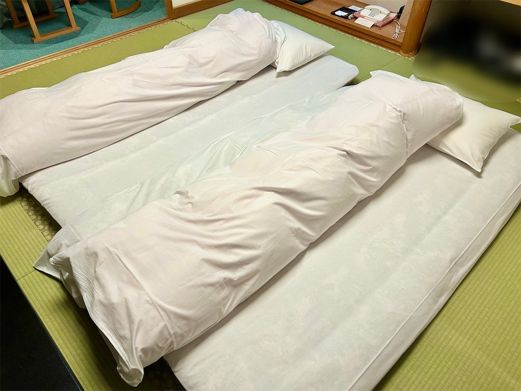 f:id:Hiromi2020:20250501223911j:image