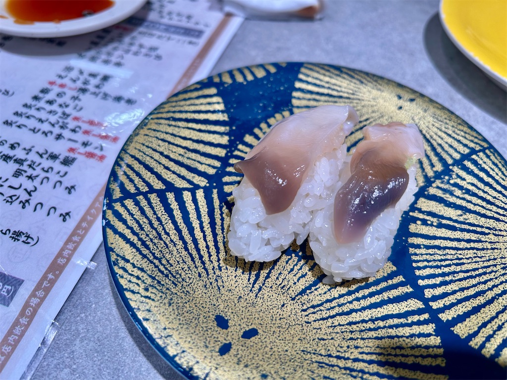 f:id:Hiromi2020:20250508195354j:image