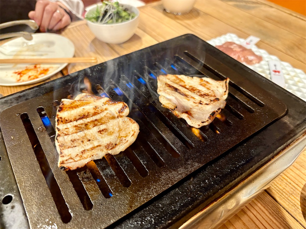 f:id:Hiromi2020:20250531115549j:image