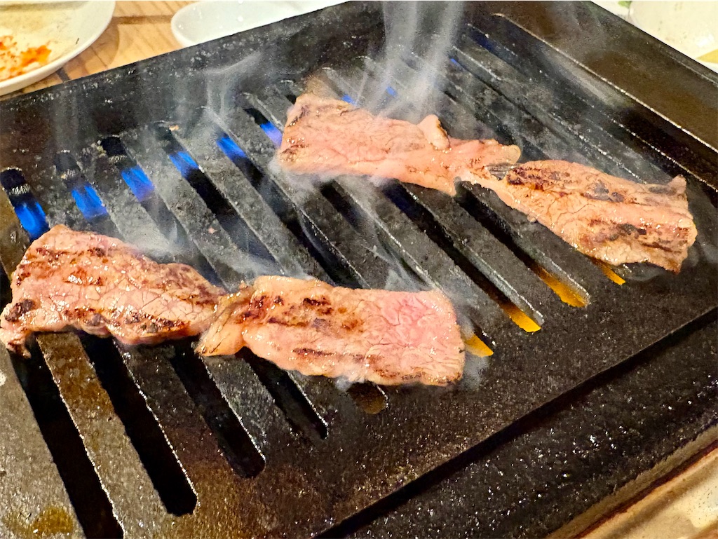 f:id:Hiromi2020:20250601092429j:image