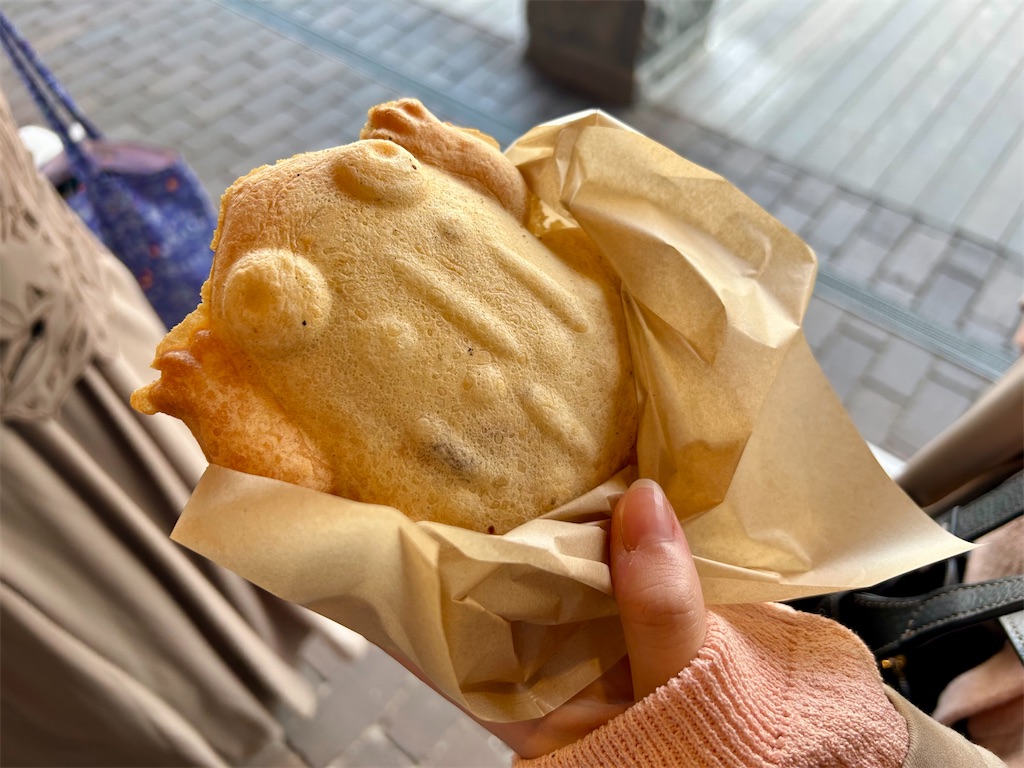 f:id:Hiromi2020:20250610102549j:image