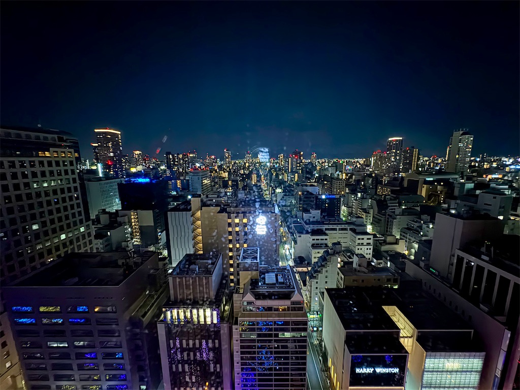 f:id:Hiromi2020:20250626075506j:image