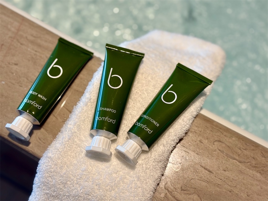 f:id:Hiromi2020:20250903215847j:image