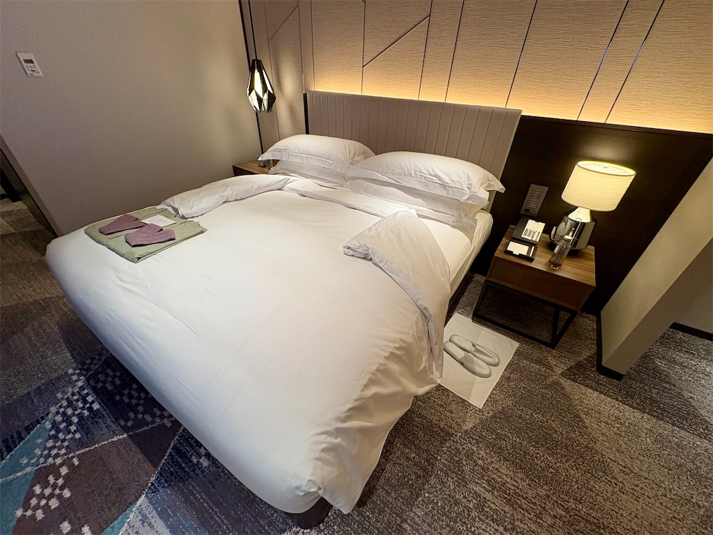 f:id:Hiromi2020:20250917224343j:image