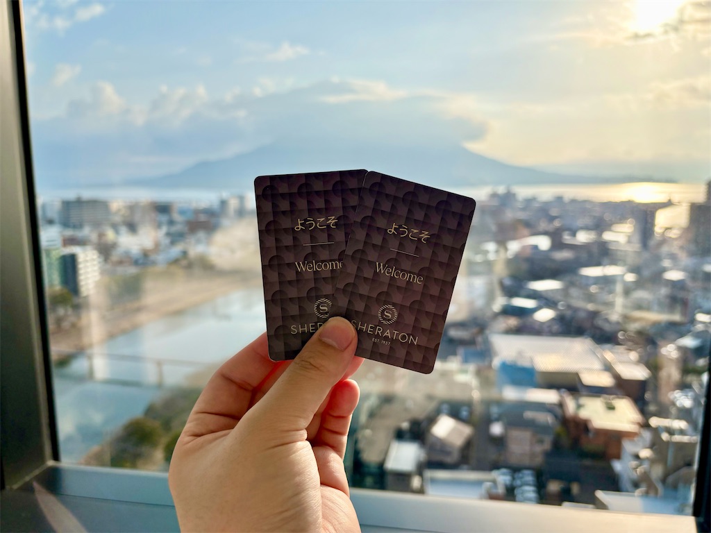 f:id:Hiromi2020:20260224081351j:image f:id:Hiromi2020:20260224081351j:image