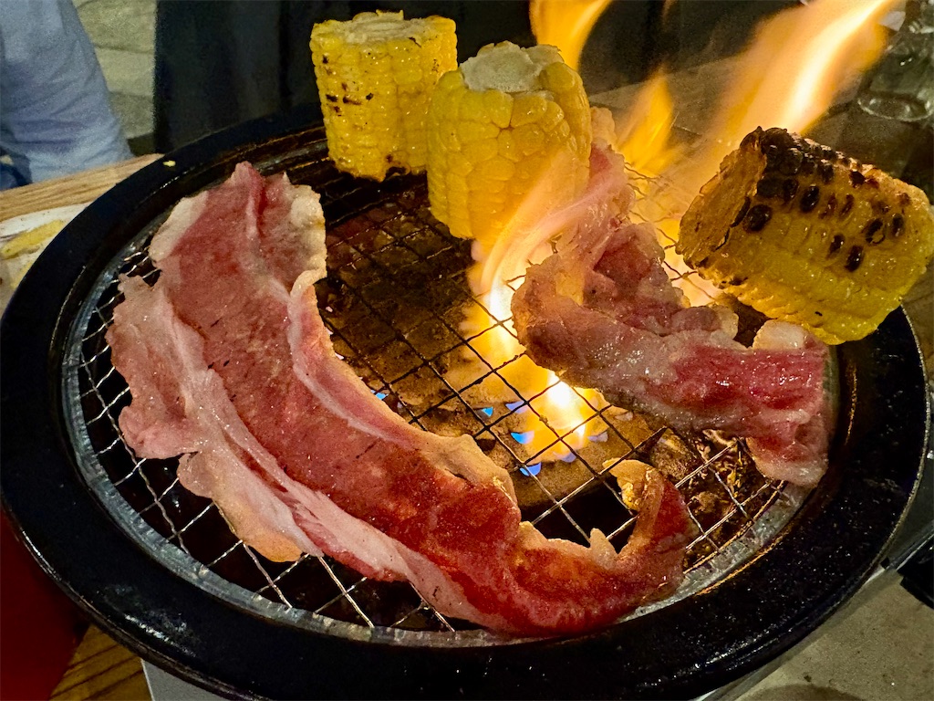 f:id:Hiromi2020:20260503102353j:image
