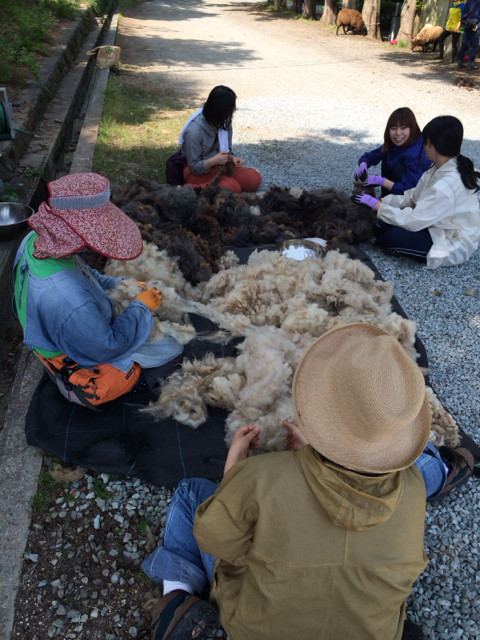 f:id:Hiropu:20140518161059j:image:h320