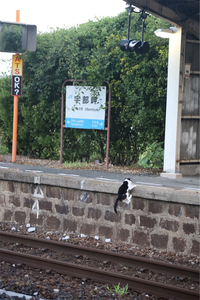 f:id:Hirotetsu2525:20230828144155j:image