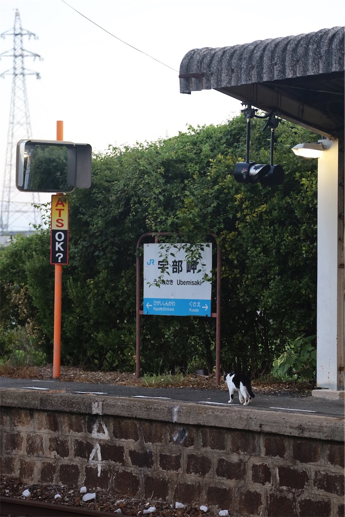 f:id:Hirotetsu2525:20230828144226j:image
