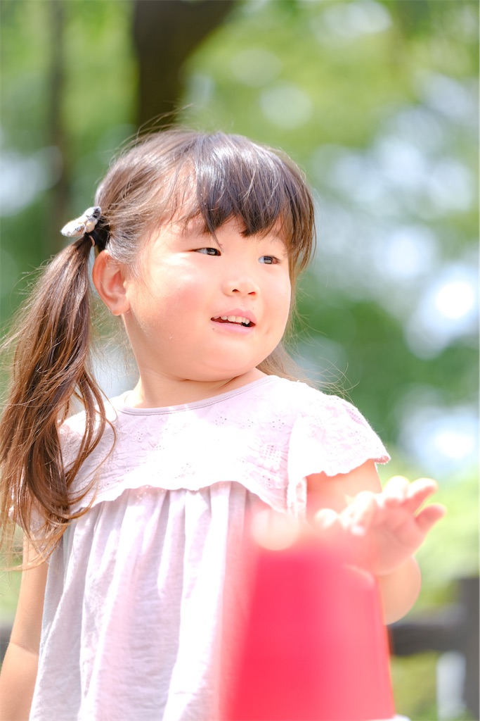 f:id:HitoshiN:20221115190848j:image